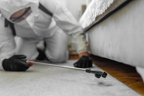 Professional Termite Control technician working in Lawrence County County, MO
